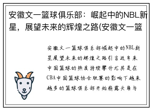 安徽文一篮球俱乐部：崛起中的NBL新星，展望未来的辉煌之路(安徽文一篮球训练基地)
